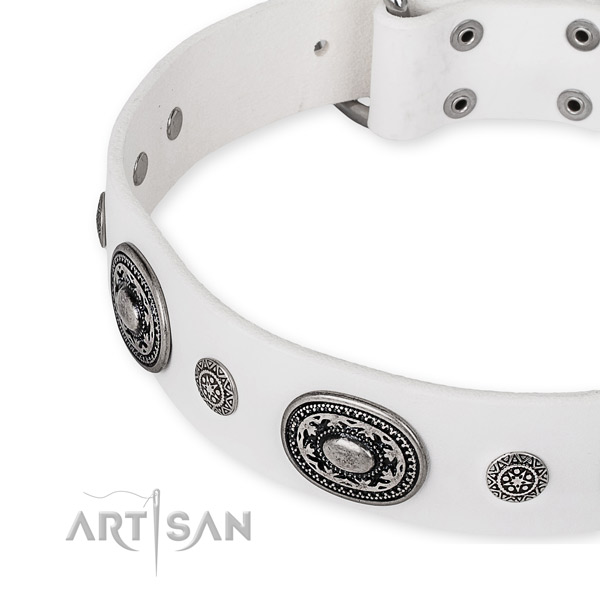 Durable full grain leather dog collar handmade for your beautiful four-legged friend
