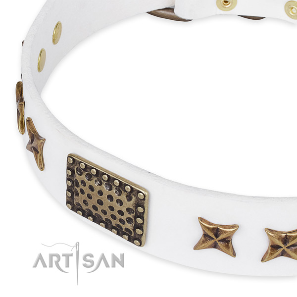 Leather collar with corrosion resistant D-ring for your lovely dog