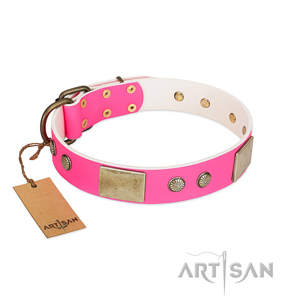 Easy adjustable leather dog collar for daily walking your four-legged friend