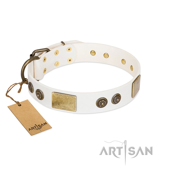 Adorned full grain leather dog collar for basic training