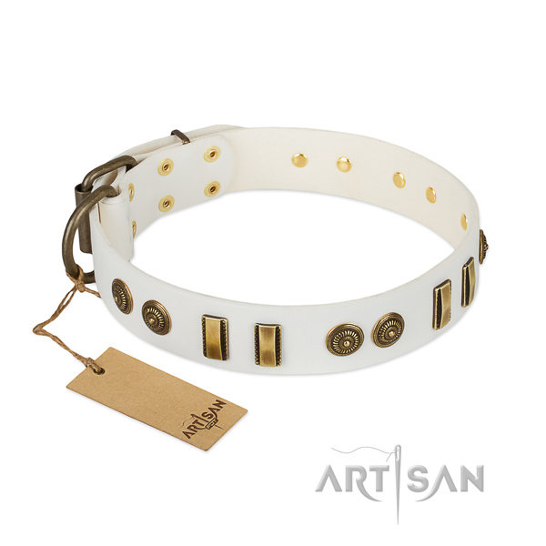 Trendy full grain natural leather collar for your dog