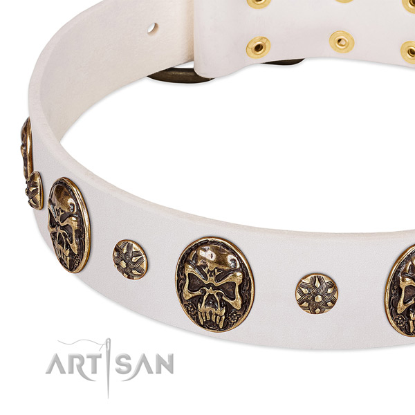 Corrosion resistant buckle on leather dog collar for your canine