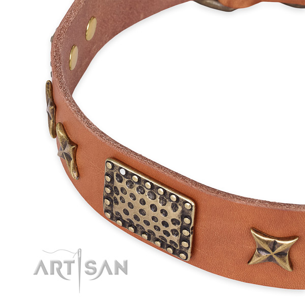 Full grain natural leather collar with corrosion resistant hardware for your beautiful dog