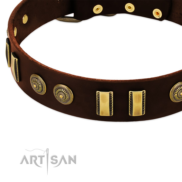 Durable adornments on full grain leather dog collar for your dog