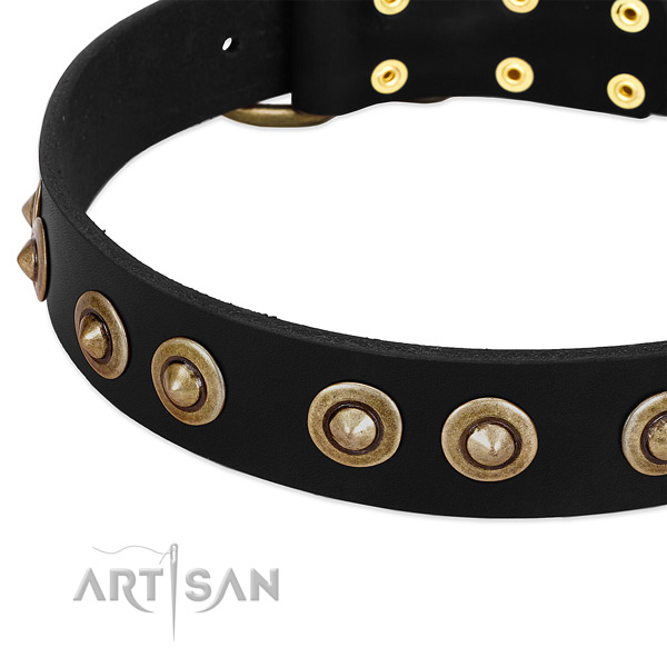 Rust resistant buckle on genuine leather dog collar for your doggie