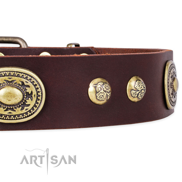 Easy to adjust full grain genuine leather collar for your beautiful canine