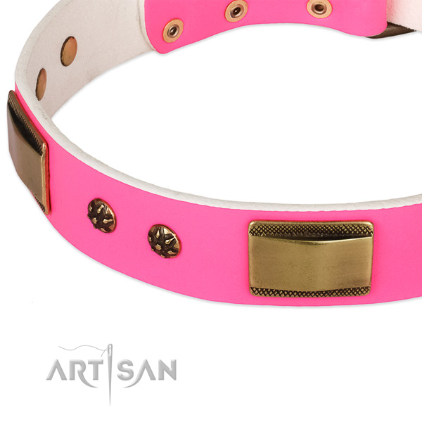 Durable hardware on leather dog collar for your four-legged friend