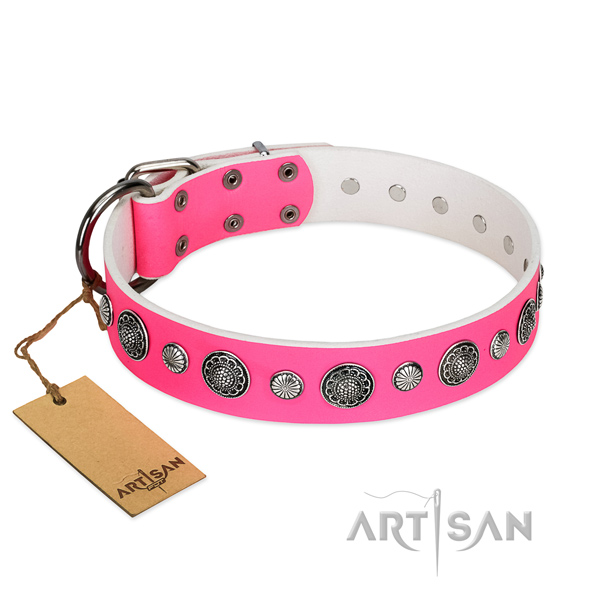 Quality natural leather dog collar with corrosion resistant buckle