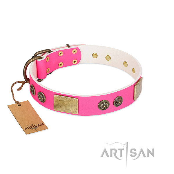 Top notch full grain natural leather dog collar for everyday walking