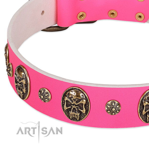 Unusual dog collar made for your stylish dog