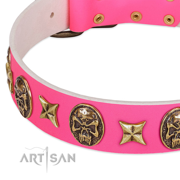 Full grain leather dog collar with remarkable decorations