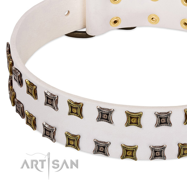 Leather dog collar with decorations for your impressive doggie
