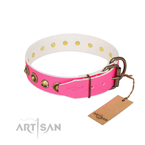 Genuine leather collar with stylish design embellishments for your canine