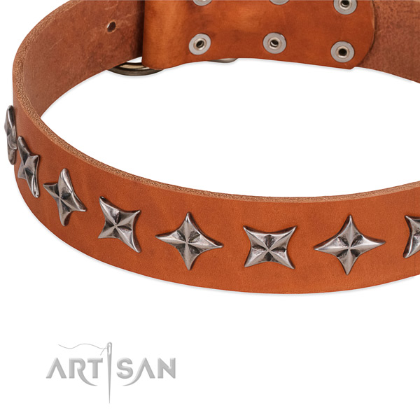 Comfy wearing embellished dog collar of best quality full grain natural leather