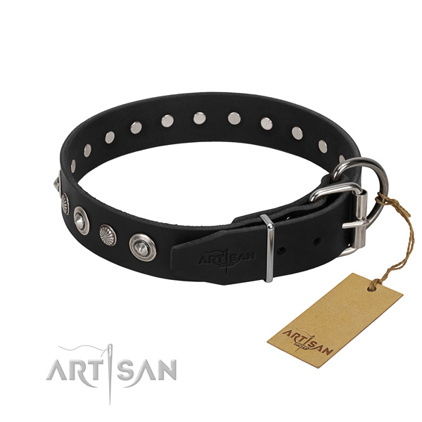 Strong natural leather dog collar with awesome studs