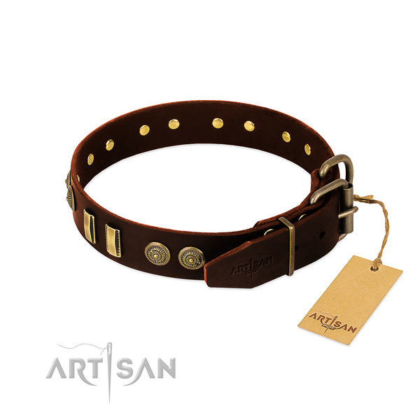 Strong studs on natural leather dog collar for your dog
