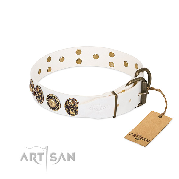 Rust resistant D-ring on everyday walking dog collar