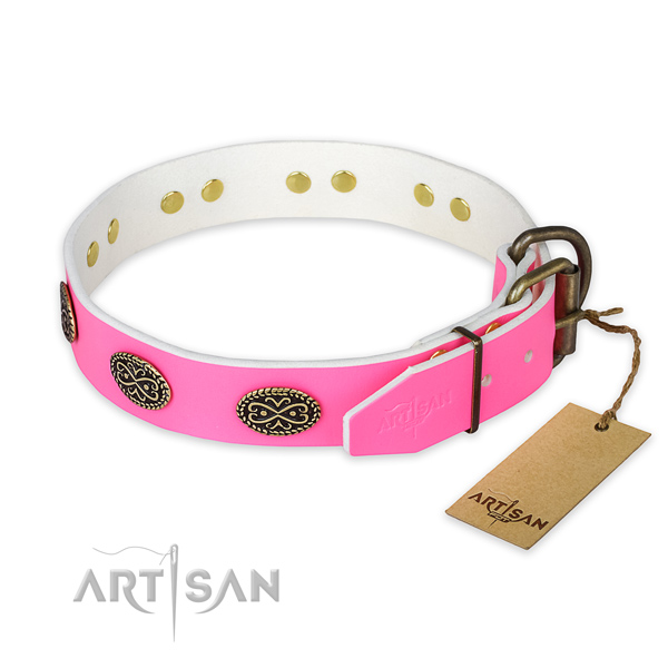 Corrosion proof embellishments on daily walking dog collar