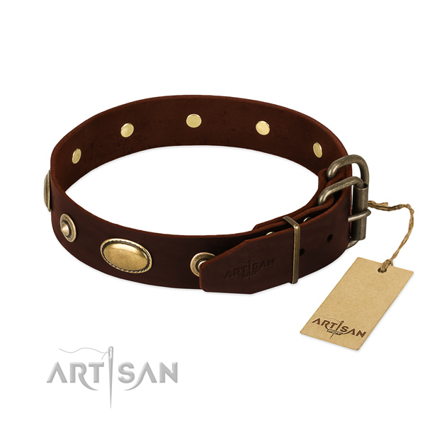 Rust resistant studs on leather dog collar for your four-legged friend