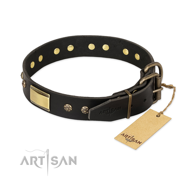 Genuine leather dog collar with durable buckle and studs