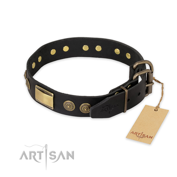 Corrosion proof traditional buckle on full grain leather collar for stylish walking your four-legged friend
