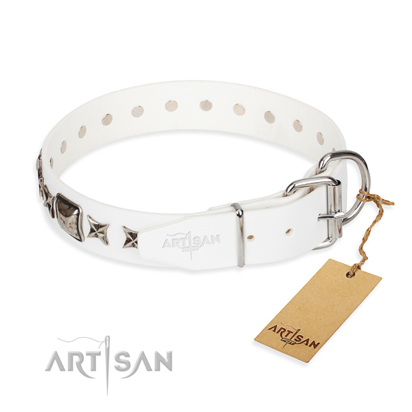 Reliable embellished dog collar of full grain genuine leather