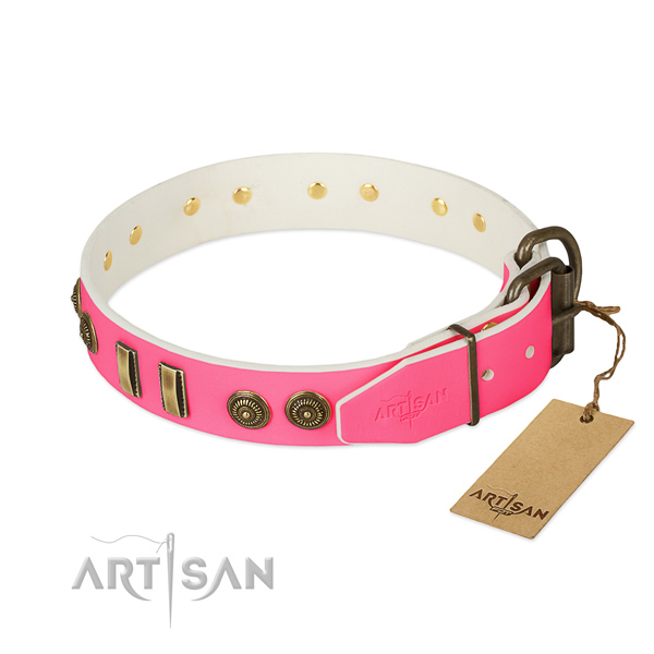 Durable D-ring on leather dog collar for your dog