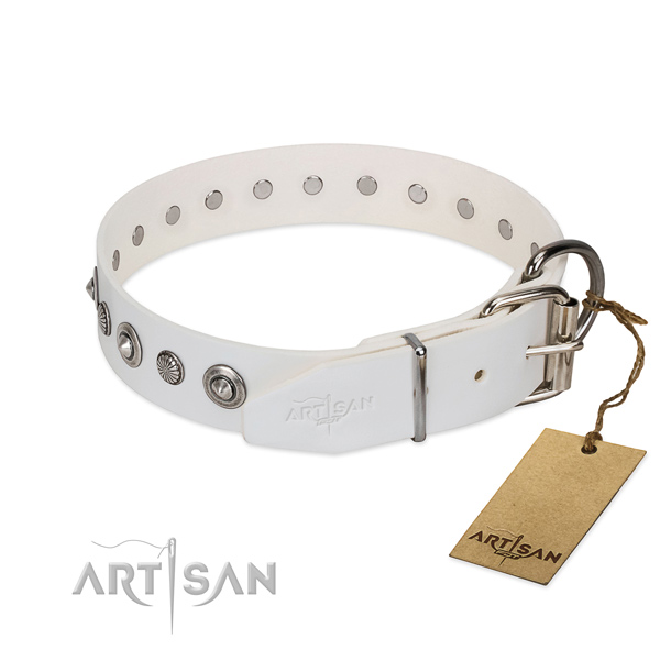 Top notch leather dog collar with unique decorations
