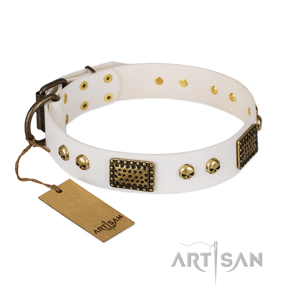 Durable fittings on daily walking dog collar