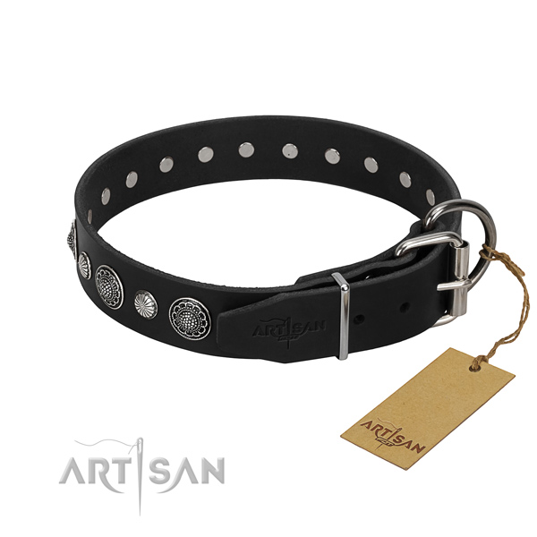 Top notch natural leather dog collar with stylish embellishments