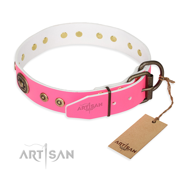 Full grain leather dog collar made of reliable material with durable embellishments