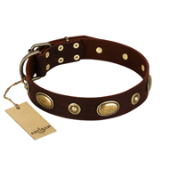 "Hebe's Jewel" FDT Artisan Brown Genuine Leather Newfoundland Collar