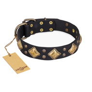 "Fancy-Schmancy" FDT Artisan Studded Leather Newfoundland Collar