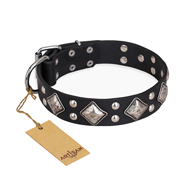 "Smart Geometry" FDT Artisan Studded Leather Newfoundland Collar