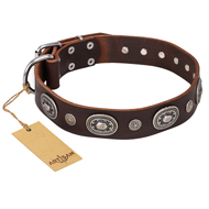 "Extra Pizzazz" FDT Artisan Adorned Brown Leather Newfoundland Collar