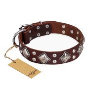 "King of Grace" FDT Artisan Stylish Leather Newfoundland Collar with Old Silver-Like Plated Decorations