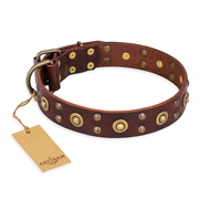 "Caprice of Fashion" FDT Artisan Brown Leather Newfoundland Collar with Round Decorations