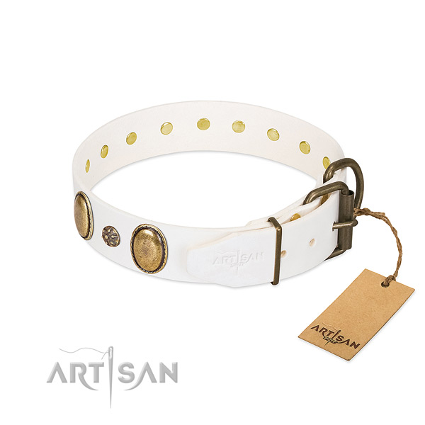 Walking gentle to touch leather dog collar with decorations