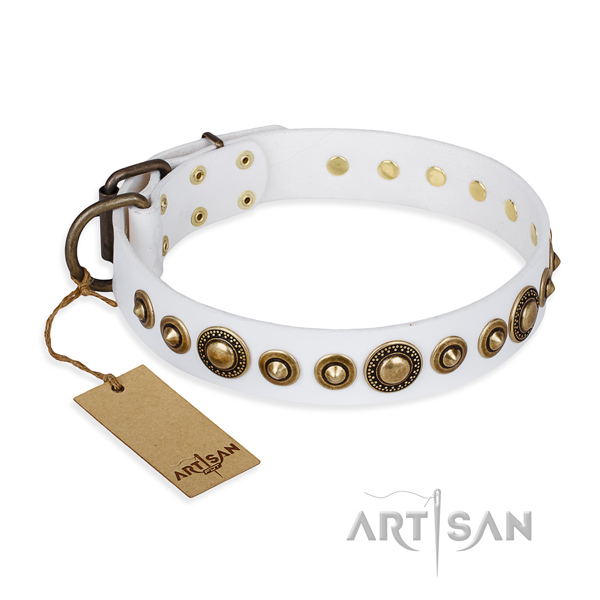 Top notch leather collar handmade for your four-legged friend