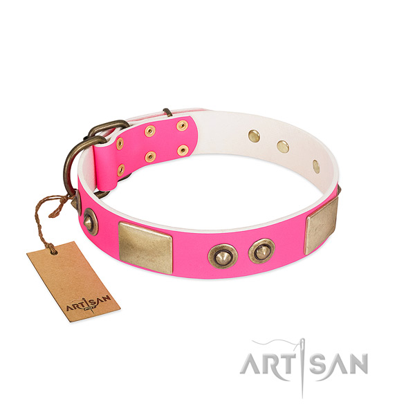 Strong D-ring on leather dog collar for your dog