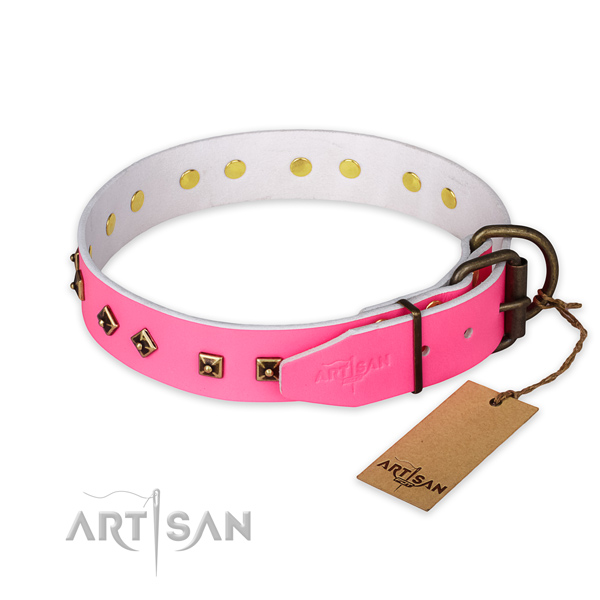 Corrosion proof fittings on full grain genuine leather collar for walking your pet