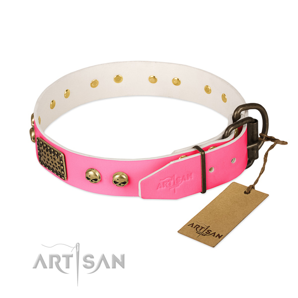 Rust resistant adornments on genuine leather dog collar for your doggie