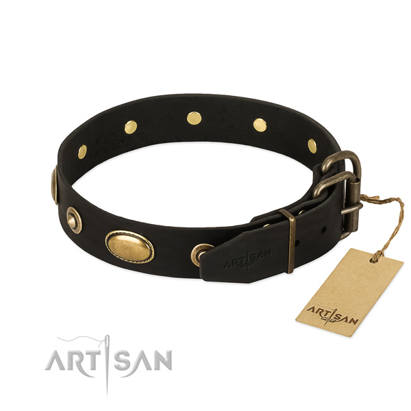 Corrosion proof adornments on genuine leather dog collar for your pet