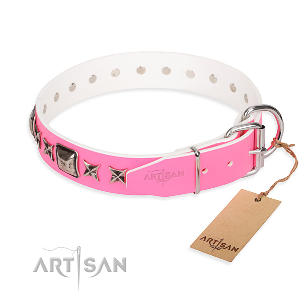 Best quality studded dog collar of full grain leather
