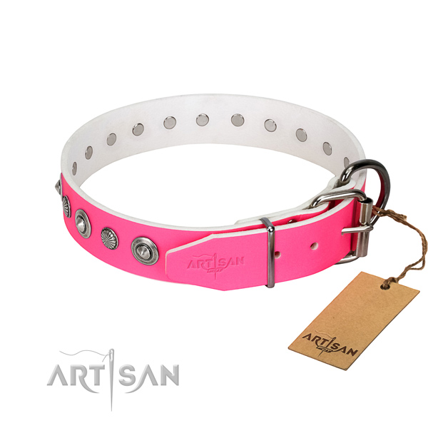High quality leather dog collar with extraordinary adornments