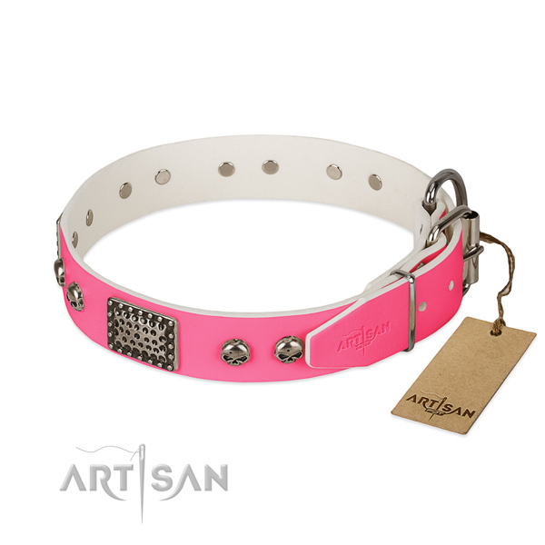 Durable studs on stylish walking dog collar