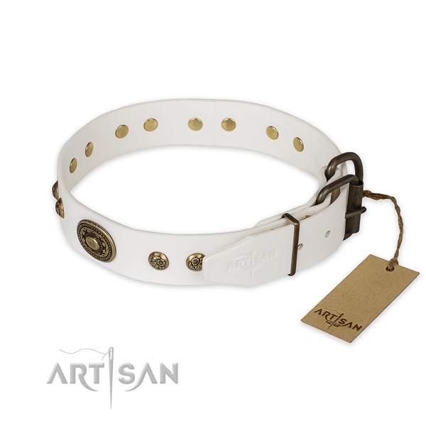 Durable D-ring on leather collar for everyday walking your four-legged friend