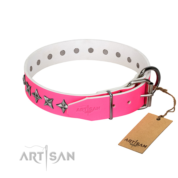 High quality leather dog collar with exceptional studs