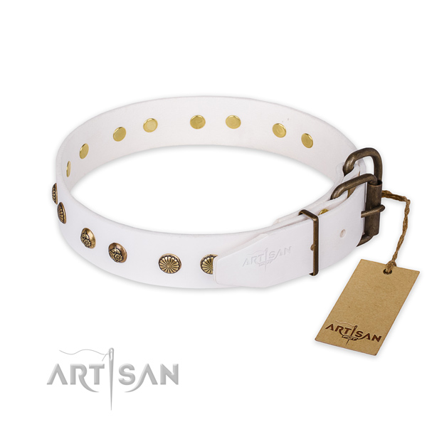 Reliable D-ring on natural genuine leather collar for your impressive four-legged friend