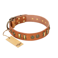 "Natural Beauty" FDT Artisan Tan Leather Newfoundland Collar with Old Bronze-like Circles and Plates